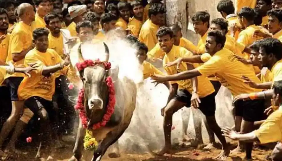 Chennai to Madurai Route